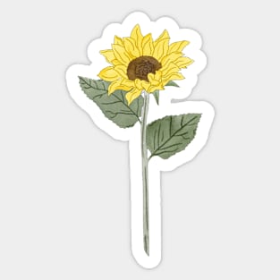 Sunflower! Sticker